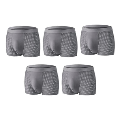 【Buy 3 Get 2 Free】-2026 HOT SALE🔥 Premium Leakproof lceSilk Mesh Men's Boxer
